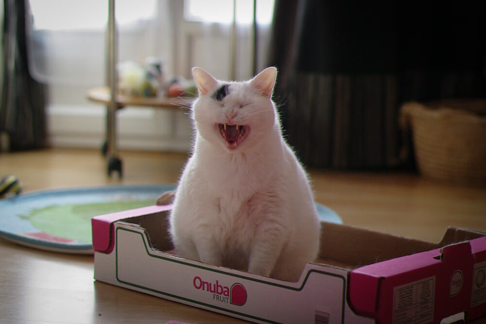 爱游戏app下载-_传统体育文化节：弘扬民族体育精神_，弘扬中华民族传统体育文化